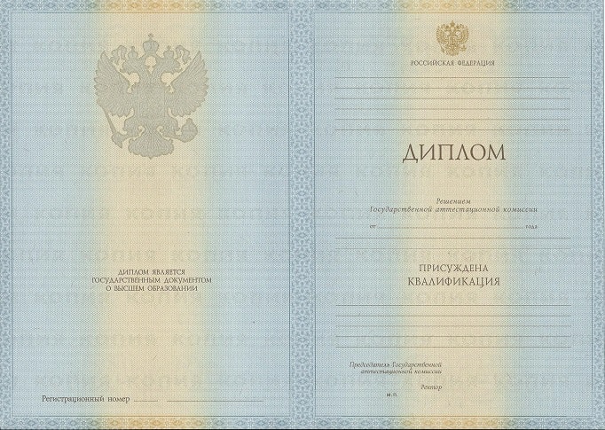Диплом техника 2009-2010 года